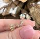 Серебряные сережки гвоздики Патриотические 2072753976 фото 5